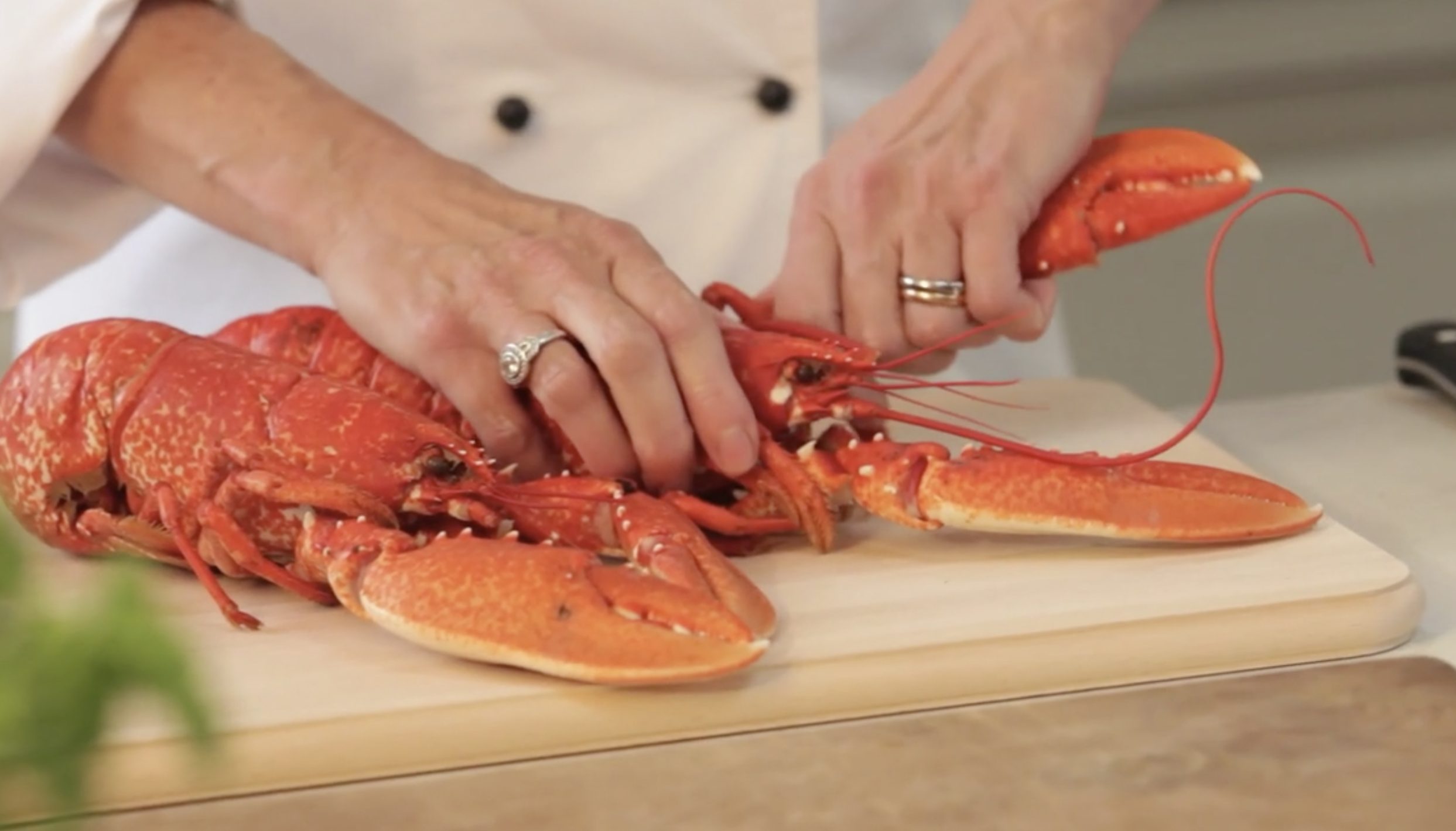 recipe-videography-cooking-lobster
